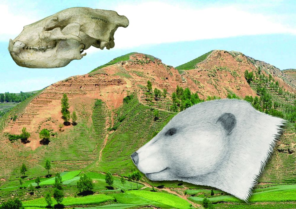 ��������������¼�������ĵ������