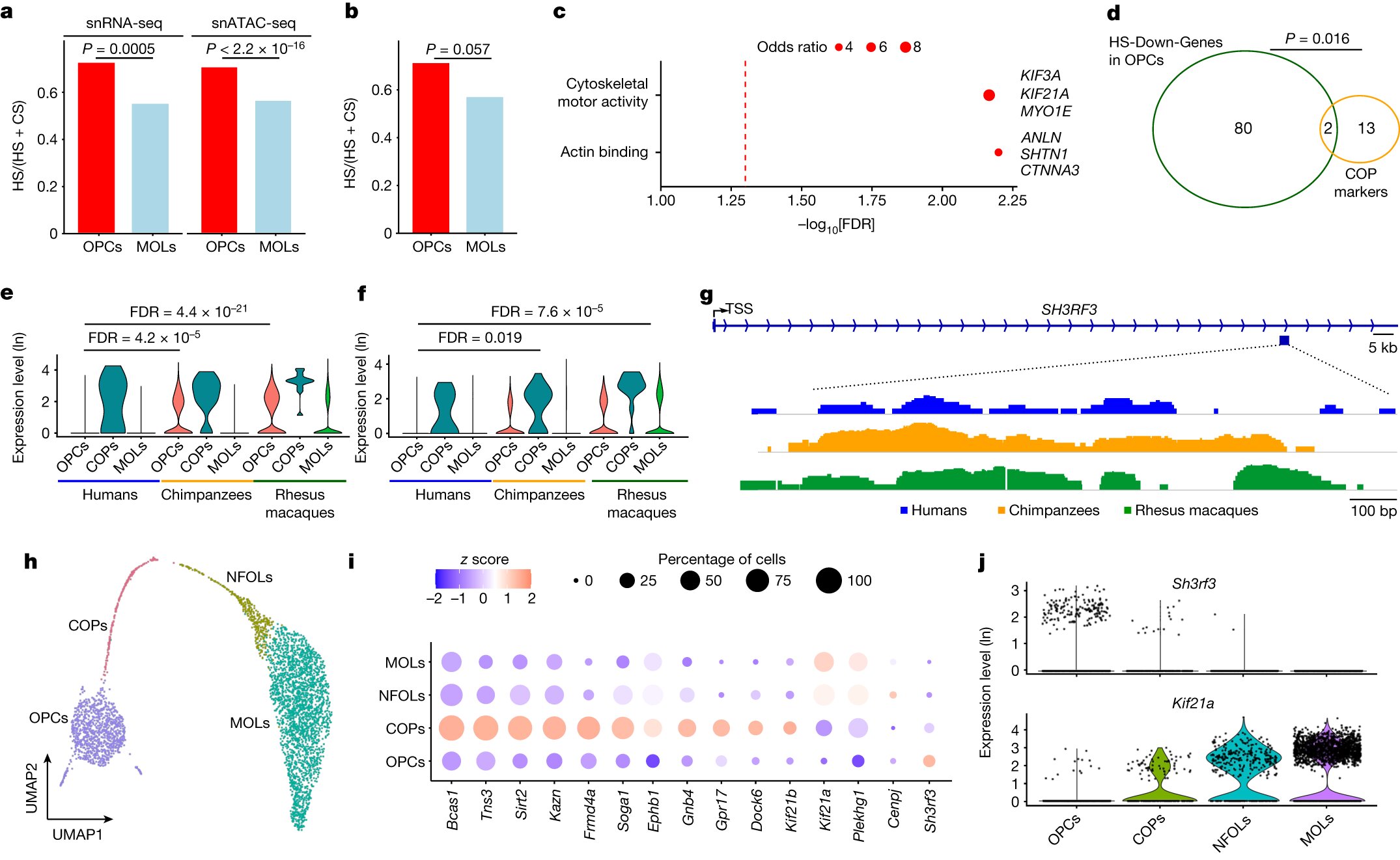 �о���������������е����� ���ִ�������������鳤�����ݺ͹Ŵ������������ֿ���