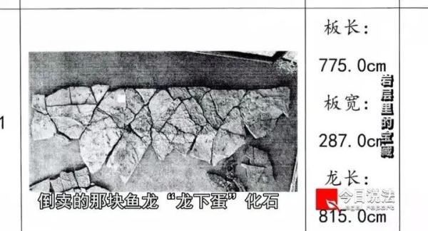 �����ص㱣����ʯ����������