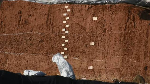 ��ʯͷ��ä�С�����Զ������