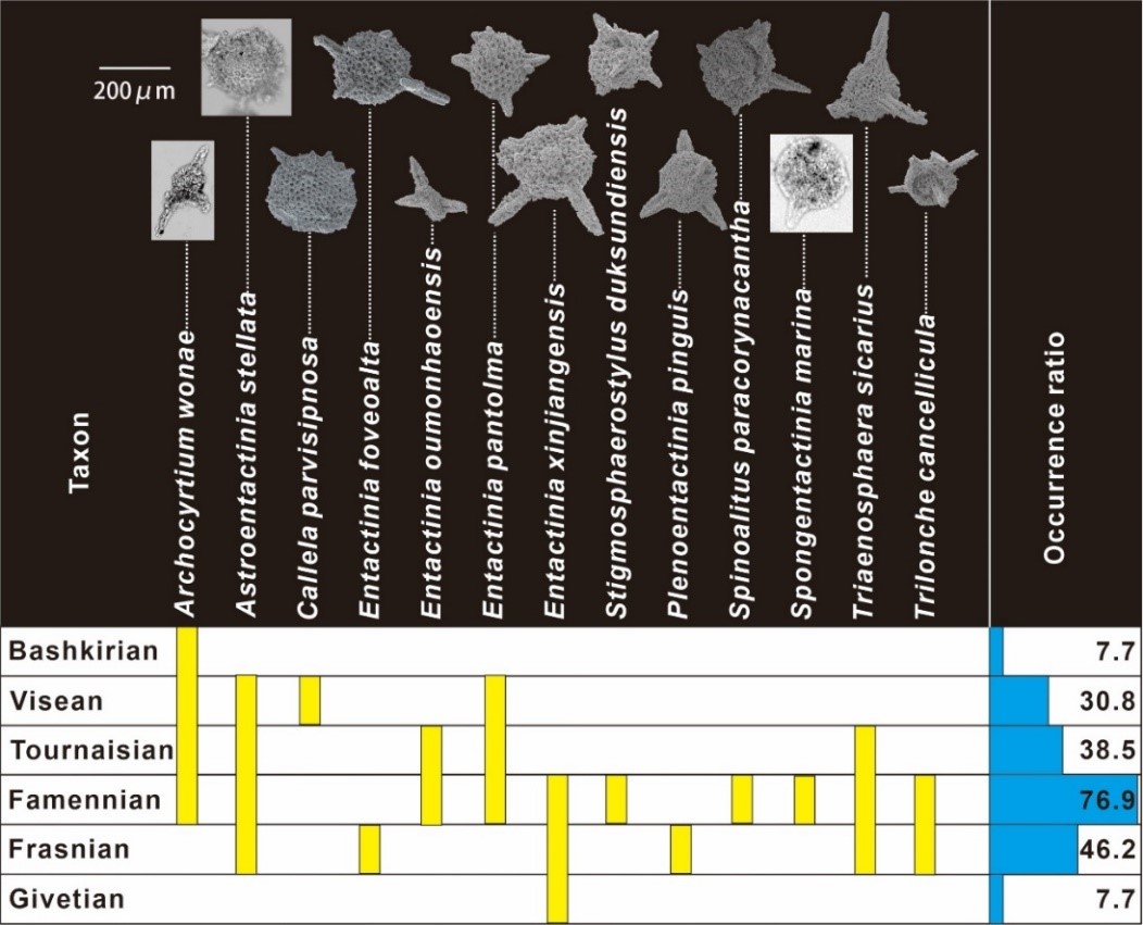 رǼв¡ٴηֹ˹Ҫ֤