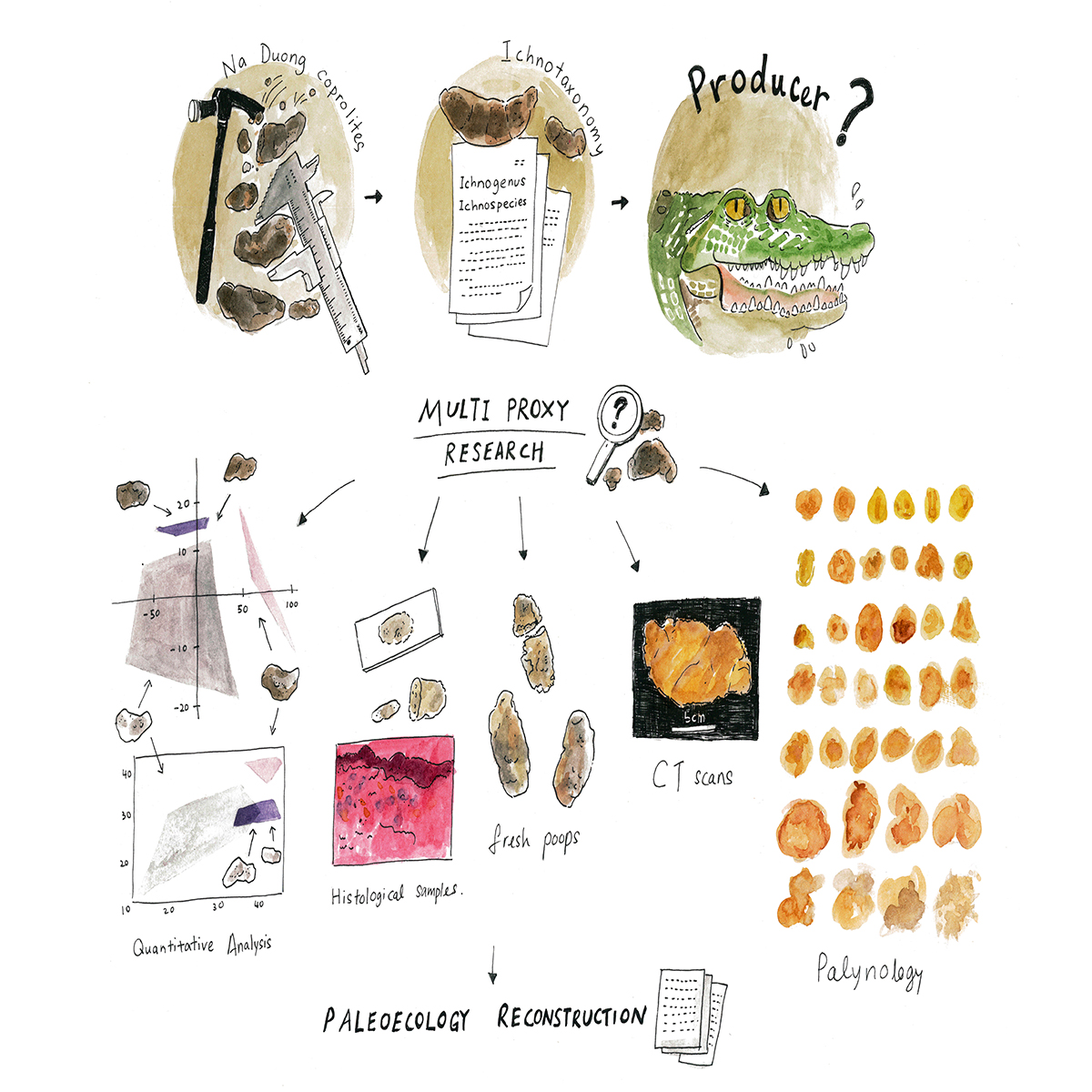 ������໯ʯ��ʾԽ�ϱ�����ʼ�����Ĺ���̬