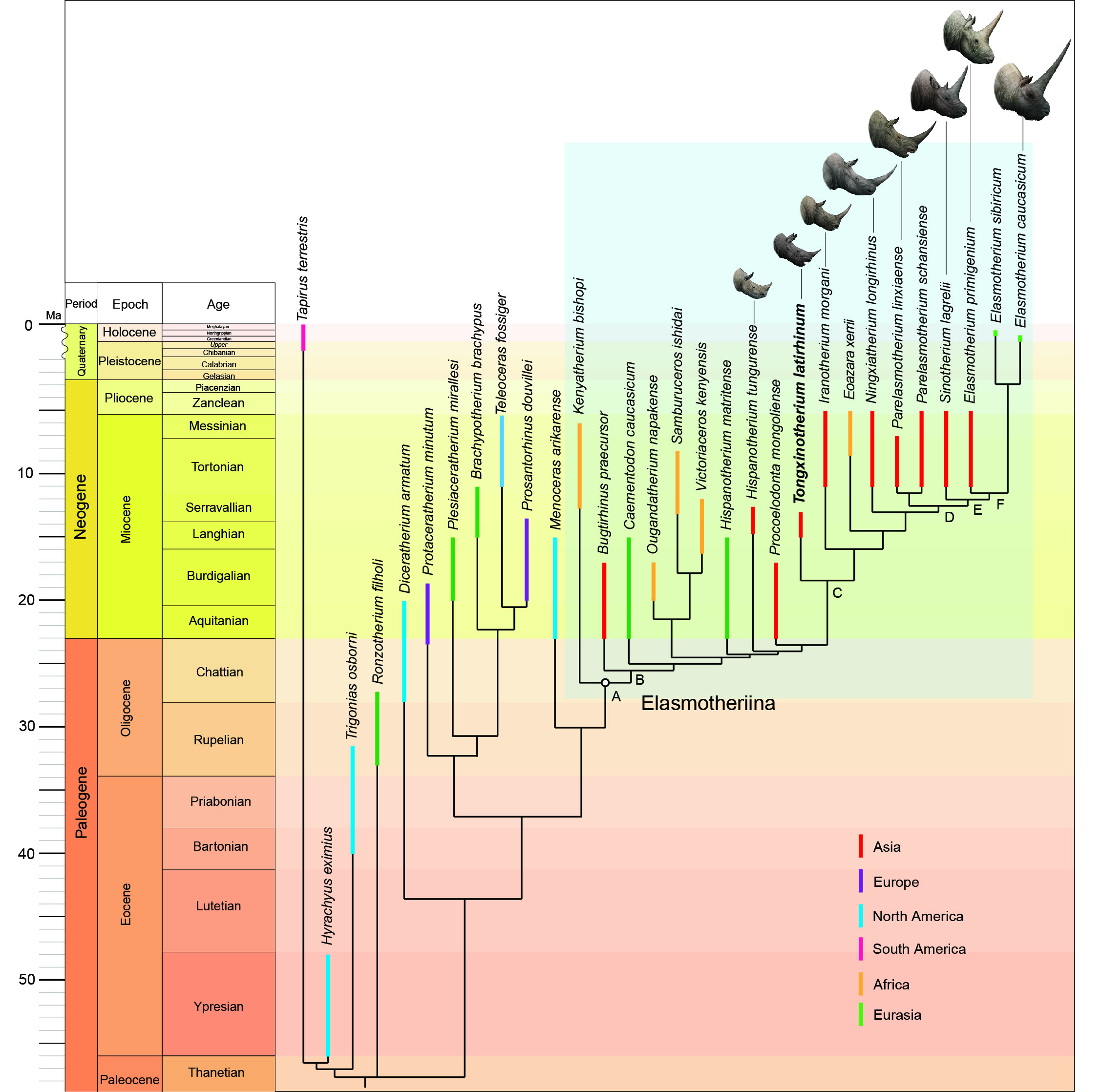 ��������ͬ�ĵĻ�ʯ��ʾ���Ϭ�ǽ��ݻ�֮��