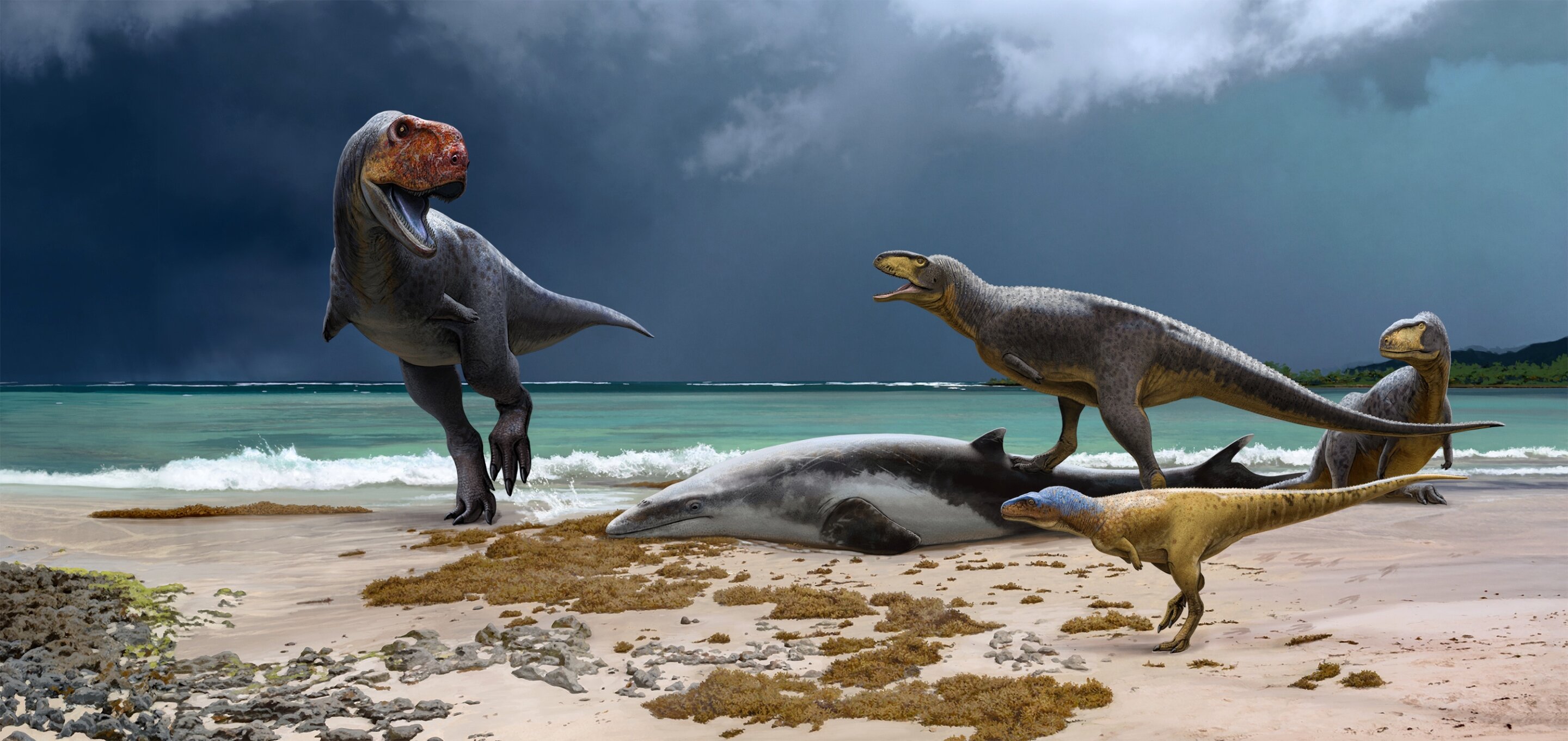 新发现的霸王龙的原始表亲揭示了非洲恐龙时代的终结