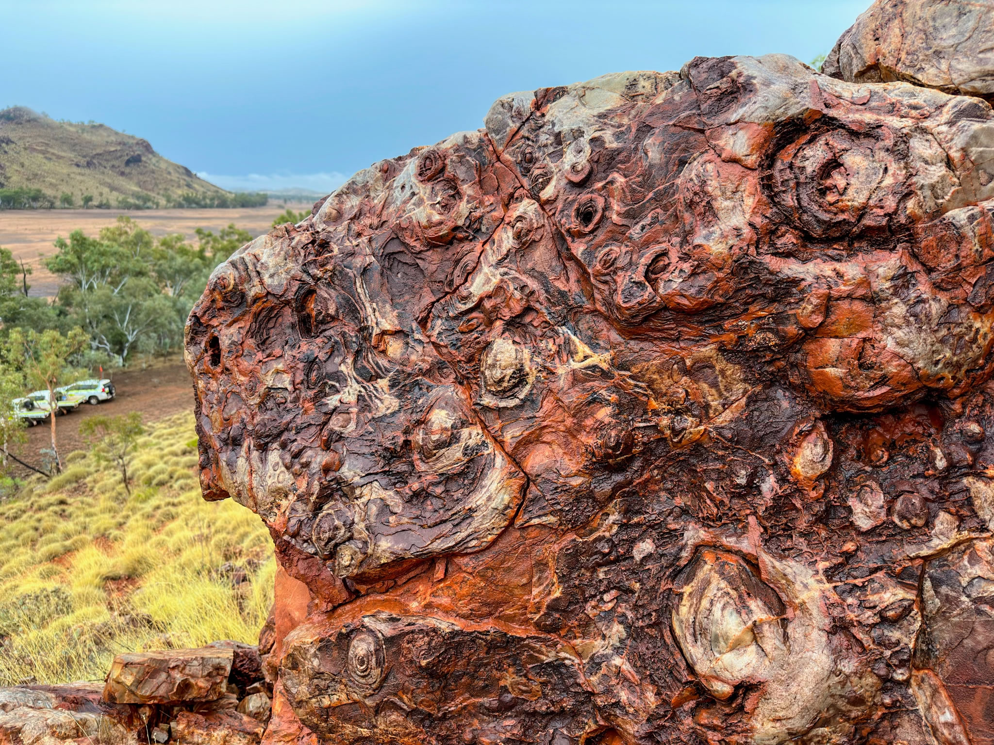 美国宇航局与合作伙伴研究澳大利亚古代生命“叠层石”，为火星搜索提供信息