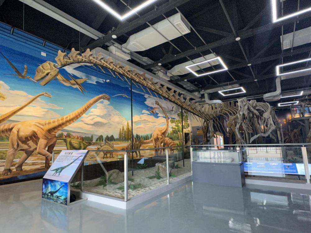 重庆市潼南区首个综合性博物馆开馆试运行 展厅内可窥亿万年前恐龙化石