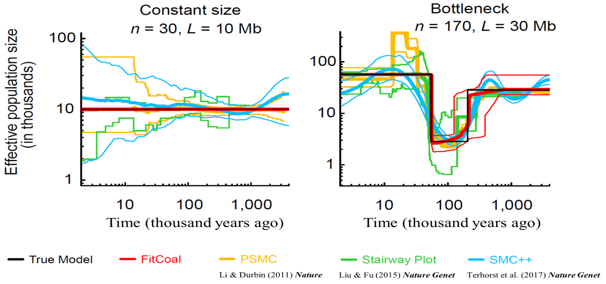 早更新世至中更新世过渡时期人类祖先近乎灭绝 只剩千人