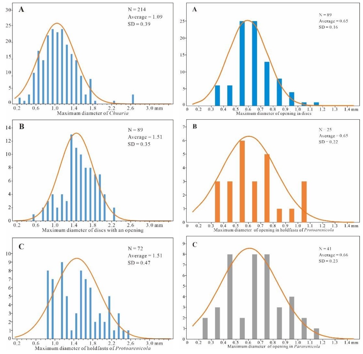 �о���ʾ����;߿��ڵ�Բ��״��ʯΪ���������