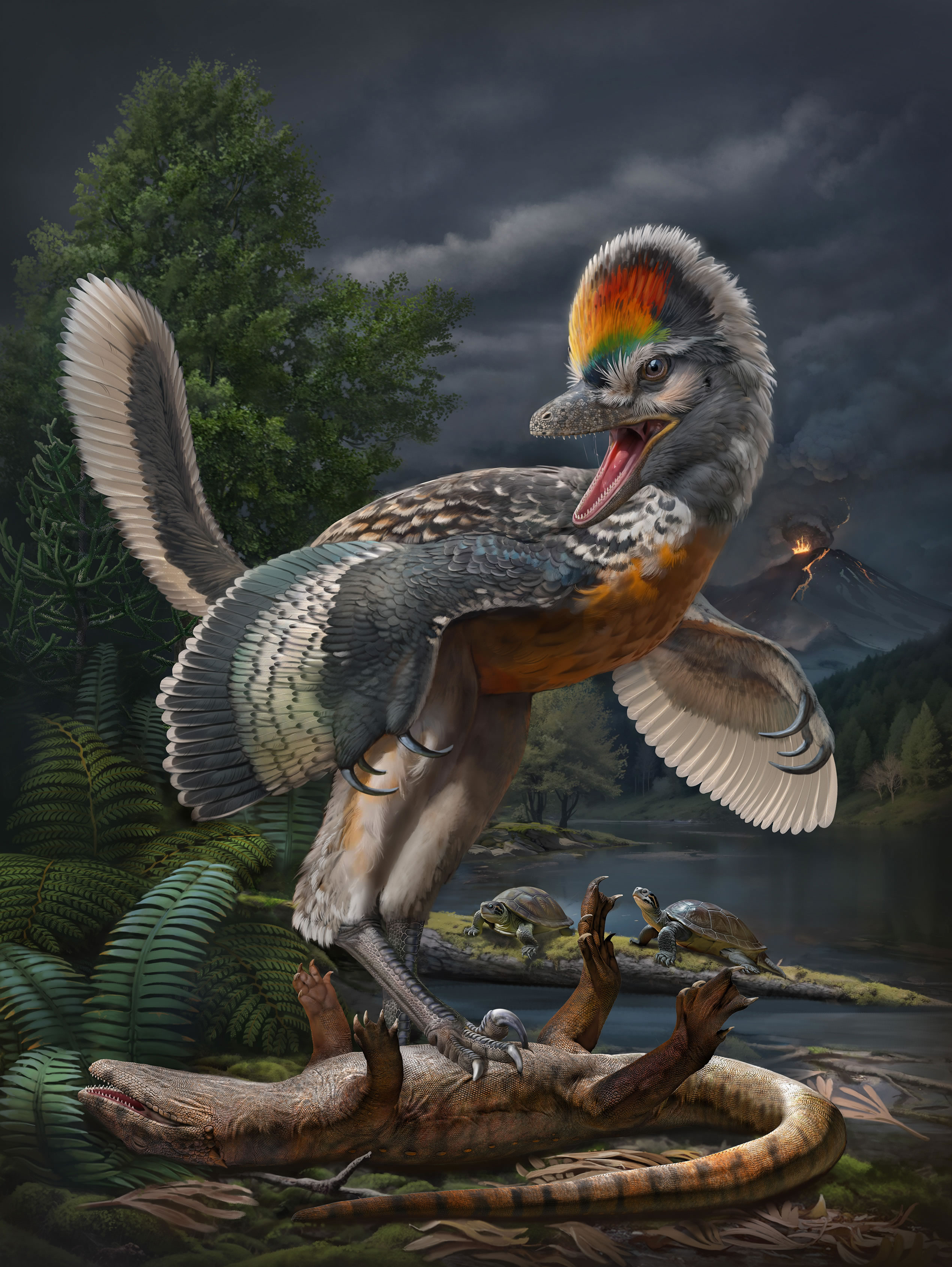 中国发现新的鸟翼类恐龙“奇异福建龙”和侏罗纪陆相动物群