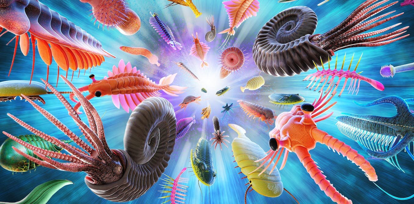 认为人类是进化的最终目的地令人欣慰,但研究表明我们可能是一个意外