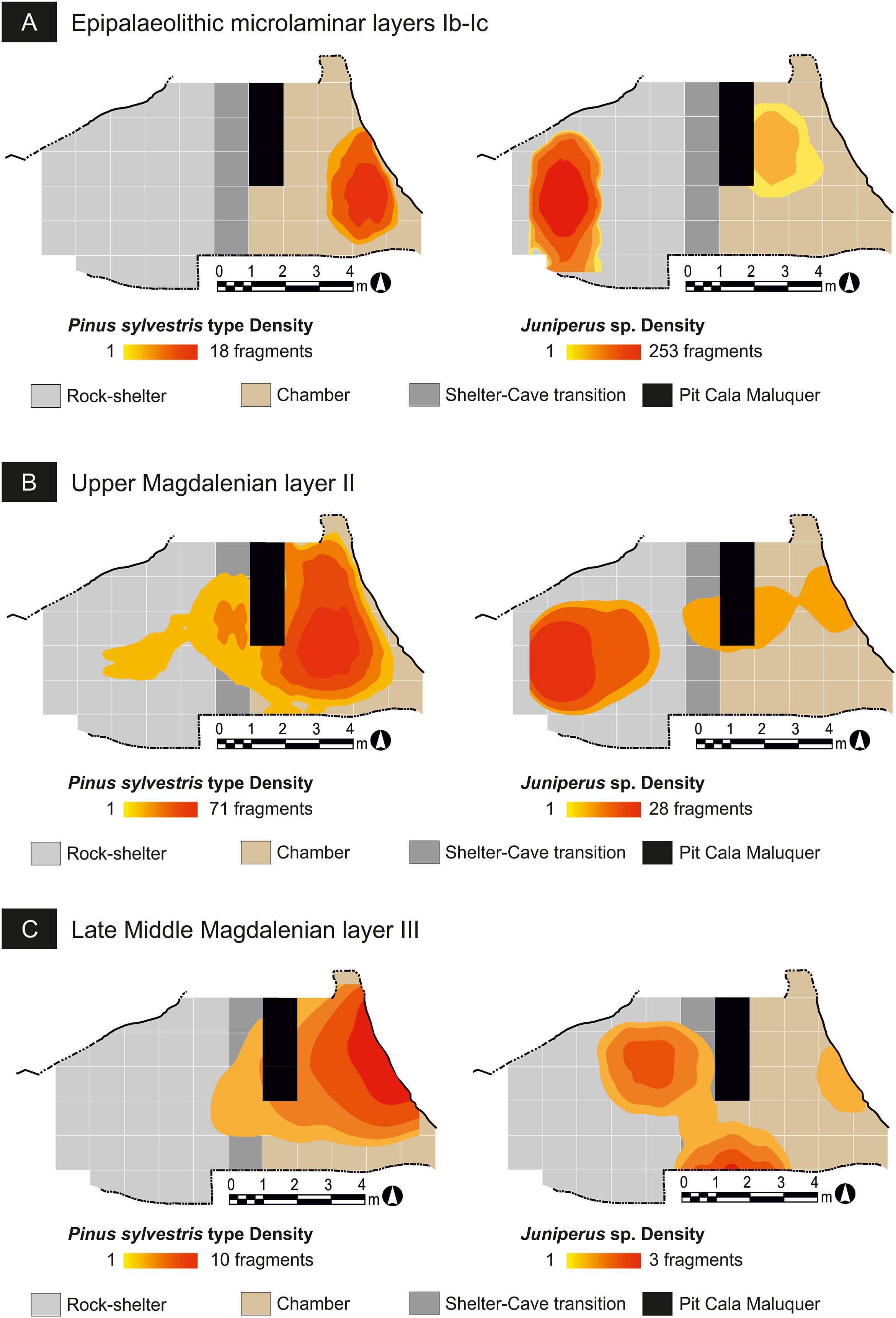 旧石器时代狩猎采集者的壁炉揭示了植被随着气候的变化