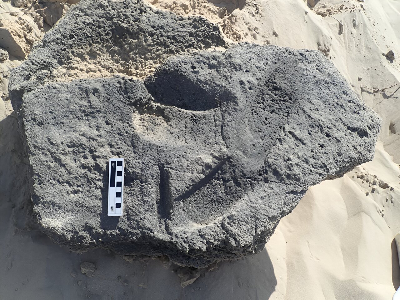 南非海滩上的足迹提供了迄今为止人类鞋子的最古老证据