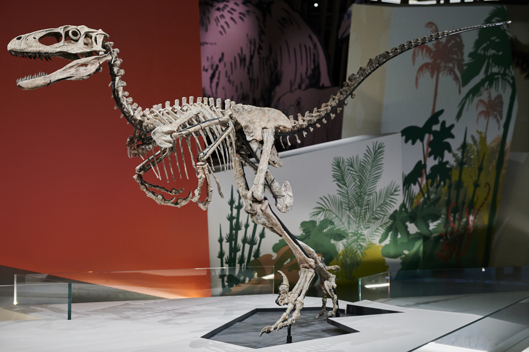 ��ۿ�ѧ����ȫ�³���չ����������չ�������С����.������չ���Ŀ�Ļ����