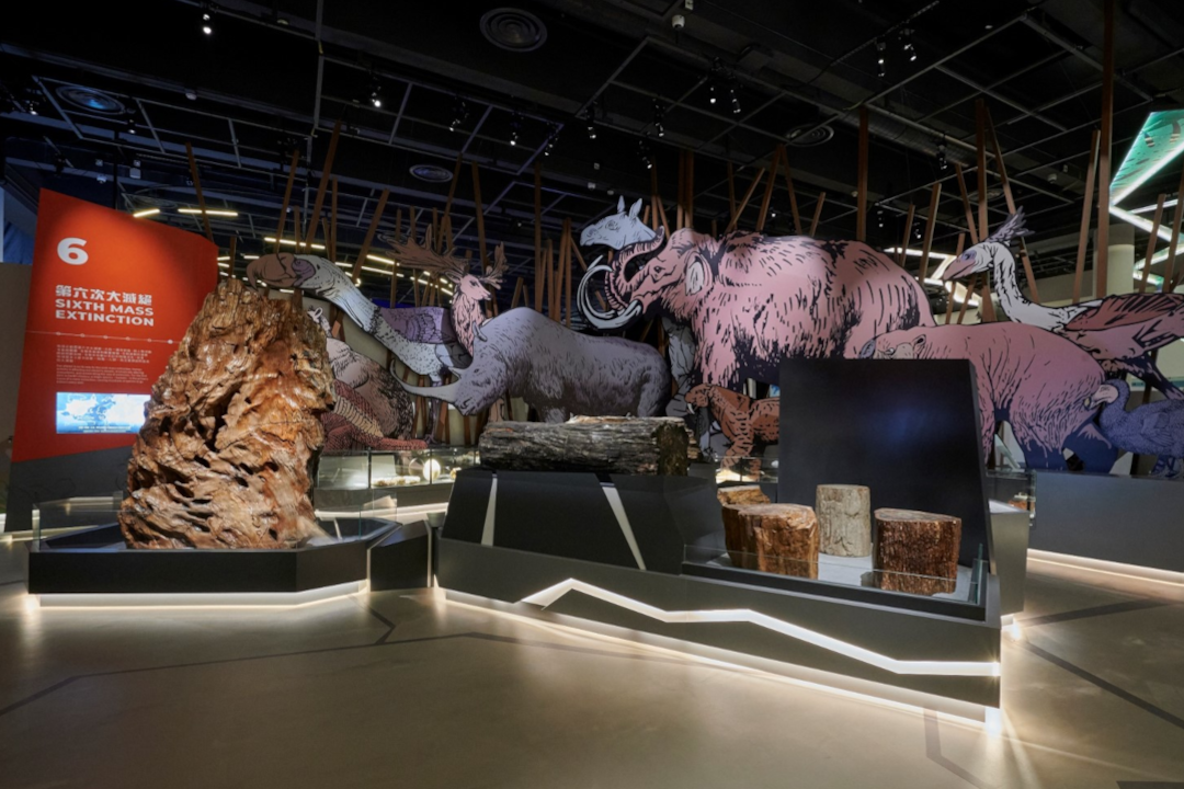 ��ۿ�ѧ����ȫ�³���չ����������չ�������С����.������չ���Ŀ�Ļ����