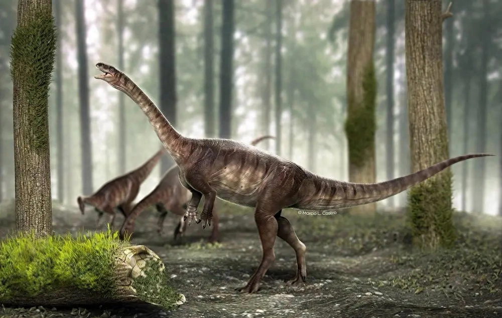 新发现缺失的一环 揭示恐龙如何非线性演变成巨兽