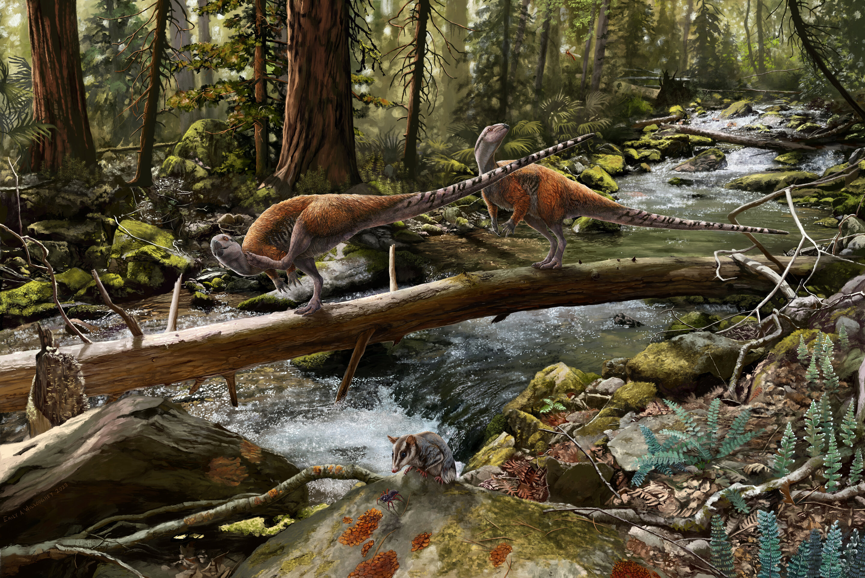 怀特岛的化石表明欧洲有自己的小型食草恐龙家族