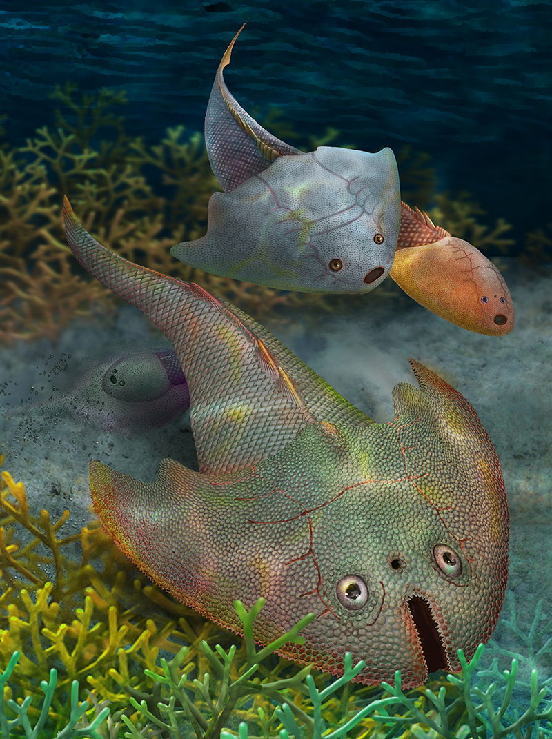 �½�����ľ��ط��ֵ���������ࡪ�����Ͻ�����