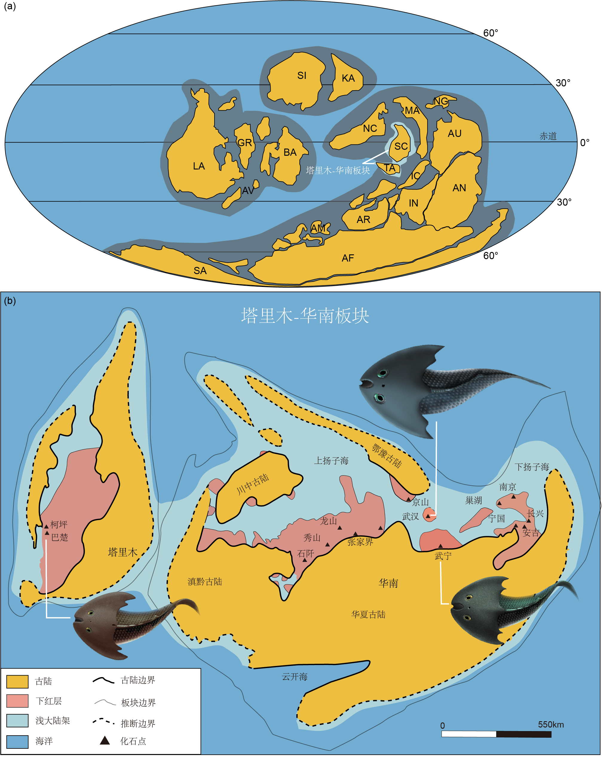 �½�����ľ��ط��ֵ���������ࡪ�����Ͻ�����