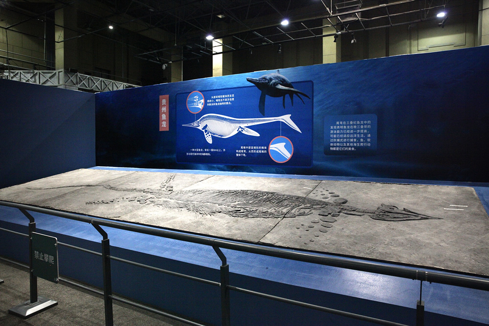 ����Ծǭ���������������͵ĺ������硱չ���ڹ�����Ȼ�������������չ