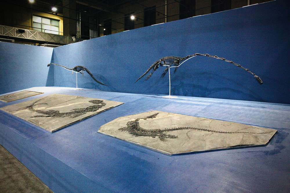 ����Ծǭ���������������͵ĺ������硱չ���ڹ�����Ȼ�������������չ