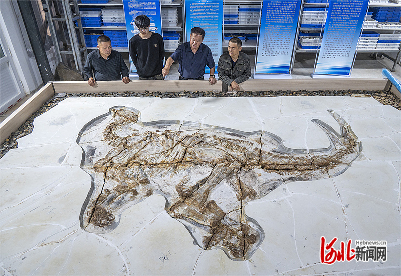 ��Խ1.3���������