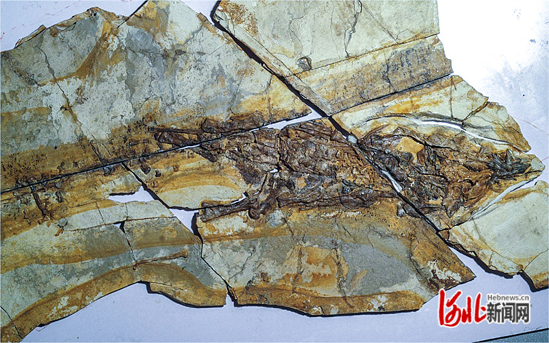 ��Խ1.3���������