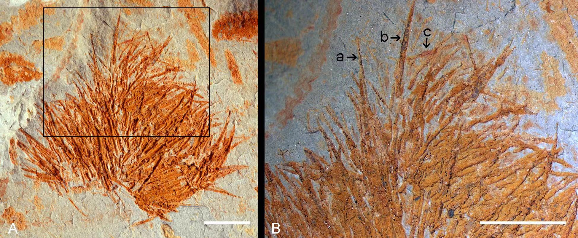 ���ϰ���-־���͹�����������غ��ද��Ⱥ�о��½�չ