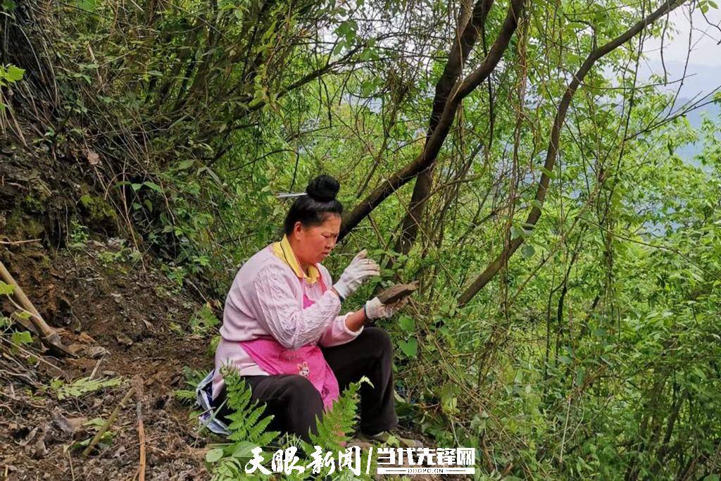 �����ظﶫ����ɴ�һ���˵ġ���ʯ������