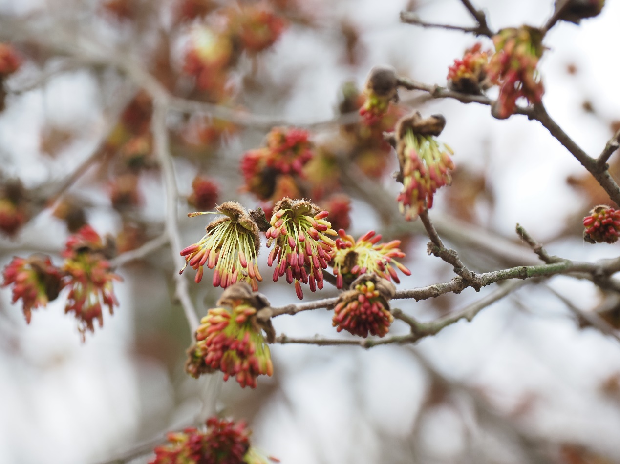 1500����ǰ�ȴ������������ŵ�����÷