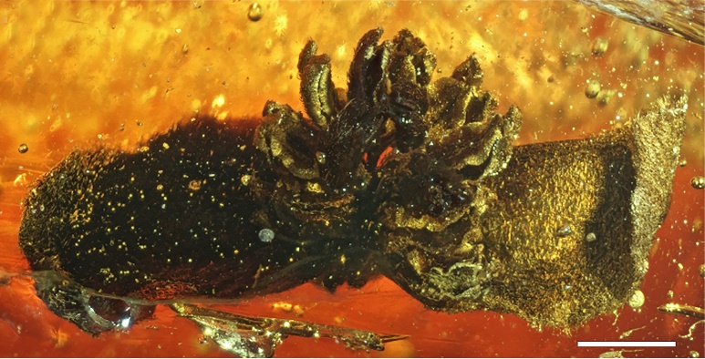 1500����ǰ�ȴ������������ŵ�����÷