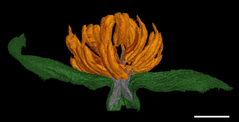 1500����ǰ�ȴ������������ŵ�����÷