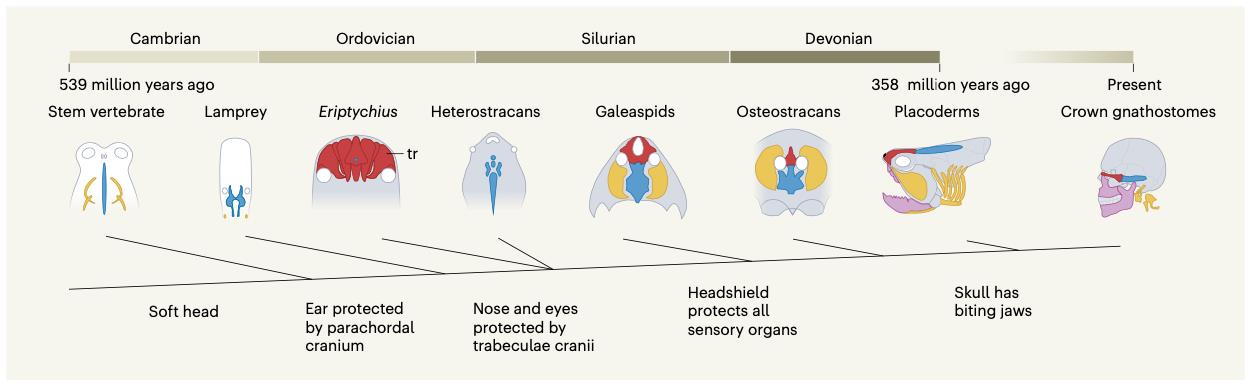 �ż�׵����־���о�Ա�����ڡ���Ȼ��������������ά��­�о��ɹ�������������