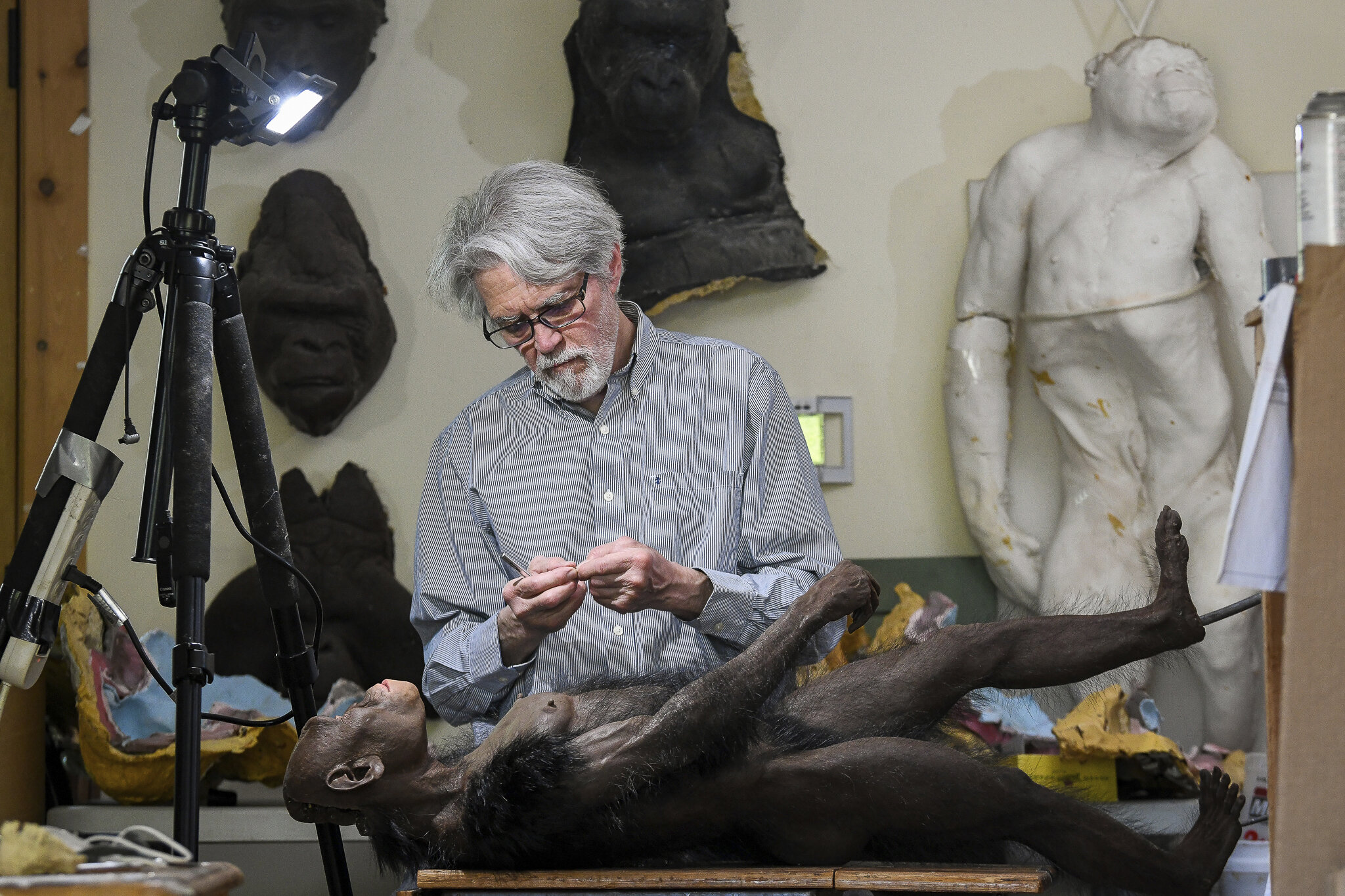 ��ѧ�����һ��Զ��ʱ�����»��棬��ʱ��������������������Ϻͽ���