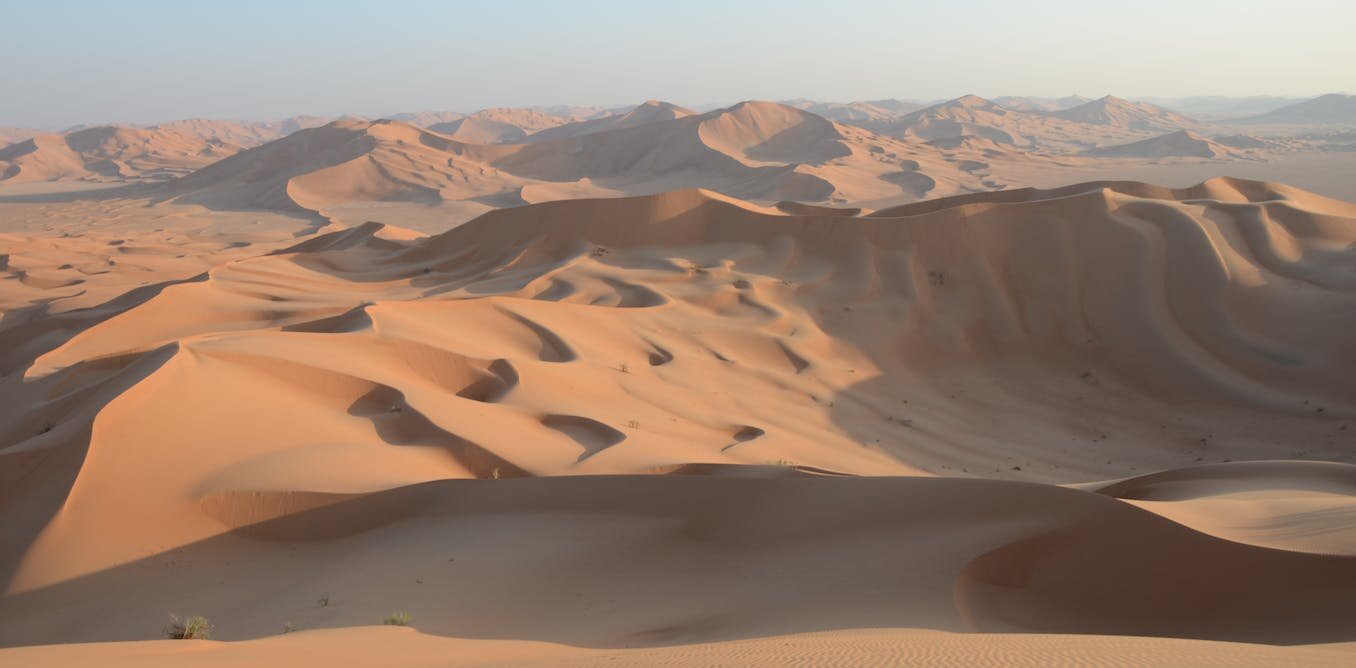 ���鶯���ʱ��������ս�