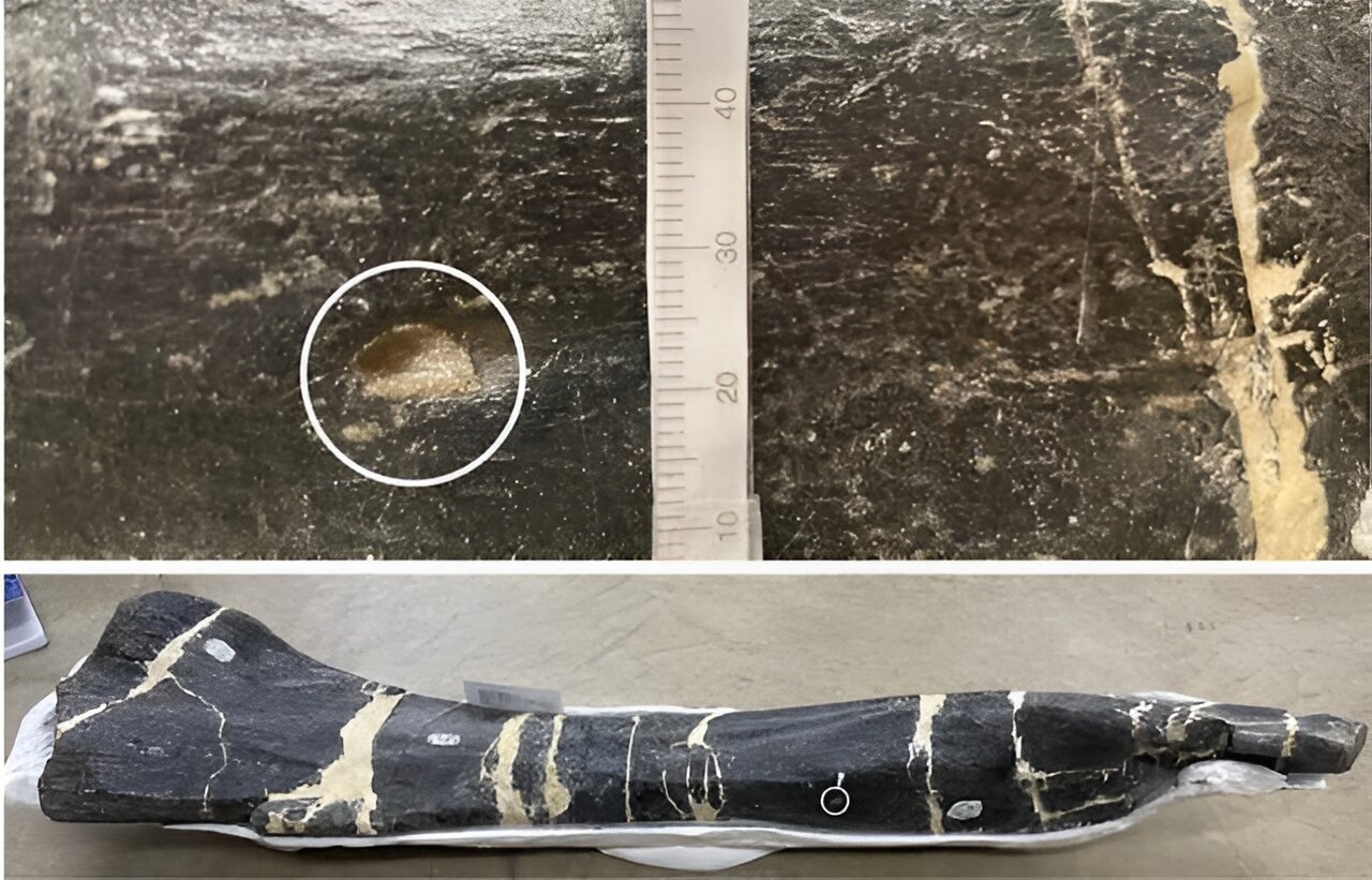 С������ͷ�ϵĶ���ʾ�������С����������γ���3���ص�