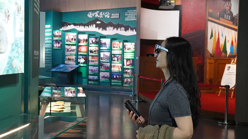 澄江化石地世界自然遗产博物馆：AR眼镜导览让古生物化石“活”起来