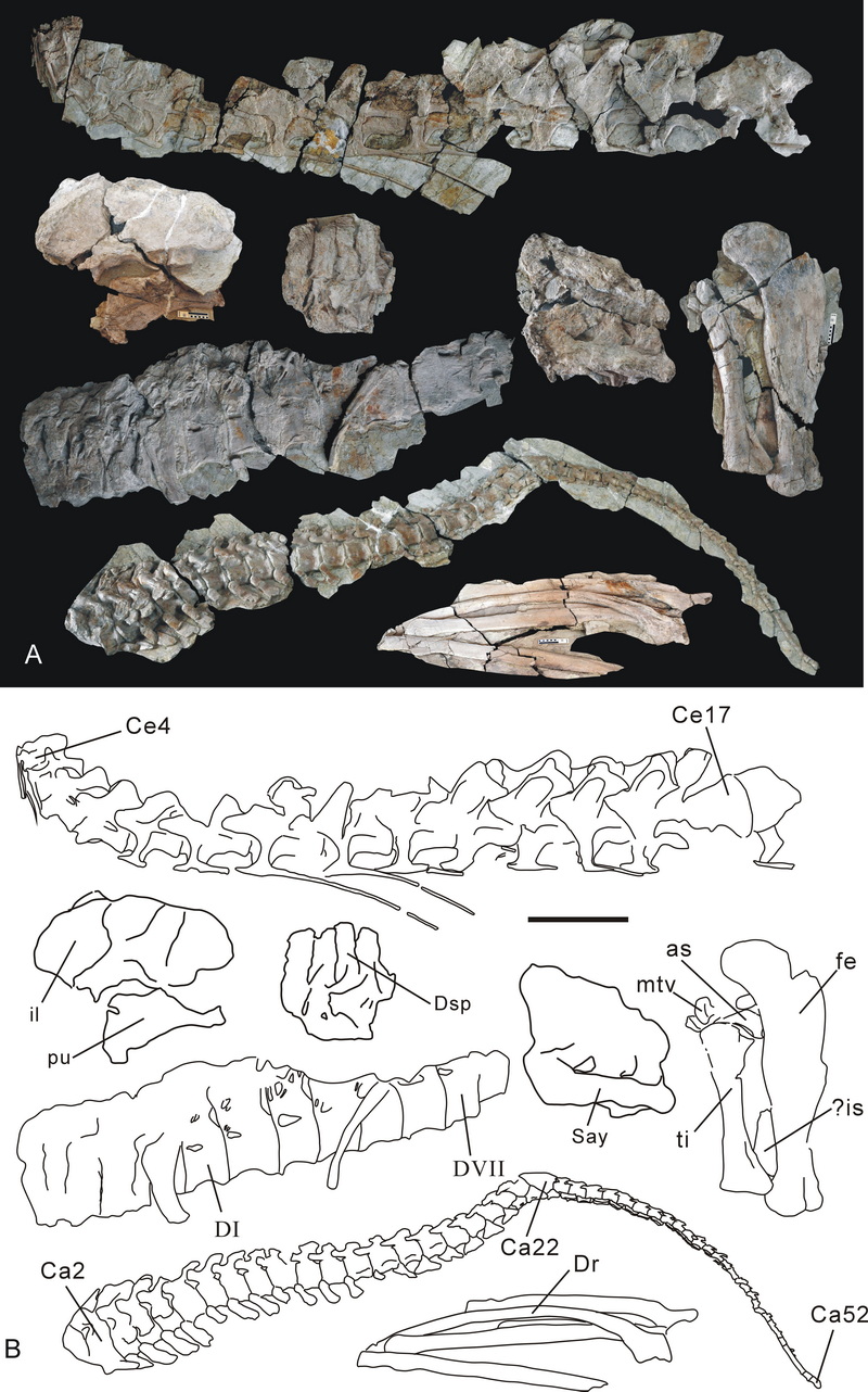 һ���·��ֿ��������ɹ�������������������