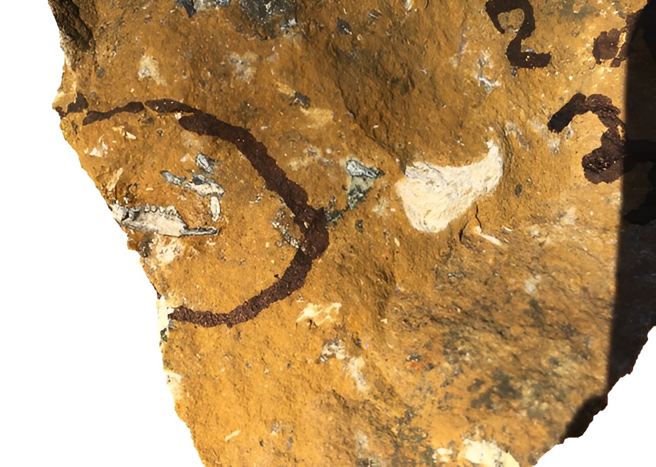 ��ʯ�о���ʾ�¼����ǵ���β������������ڰĴ�����