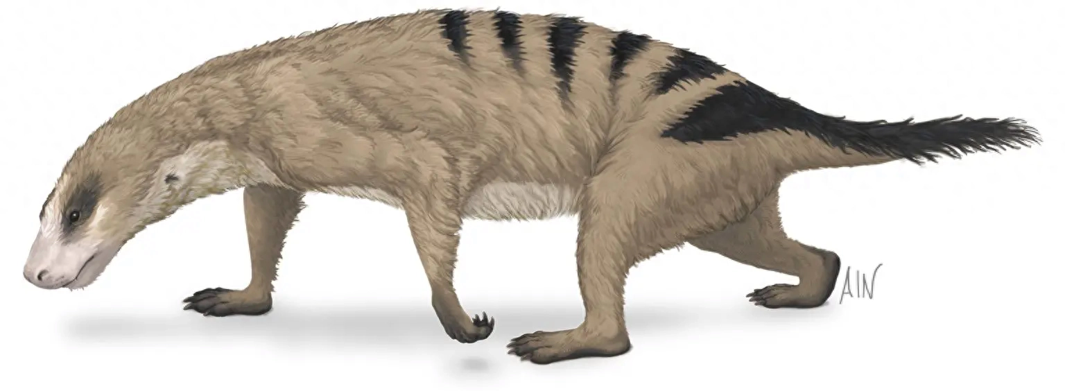 �ڴ�������Ҵ������Ĳ��鶯�������