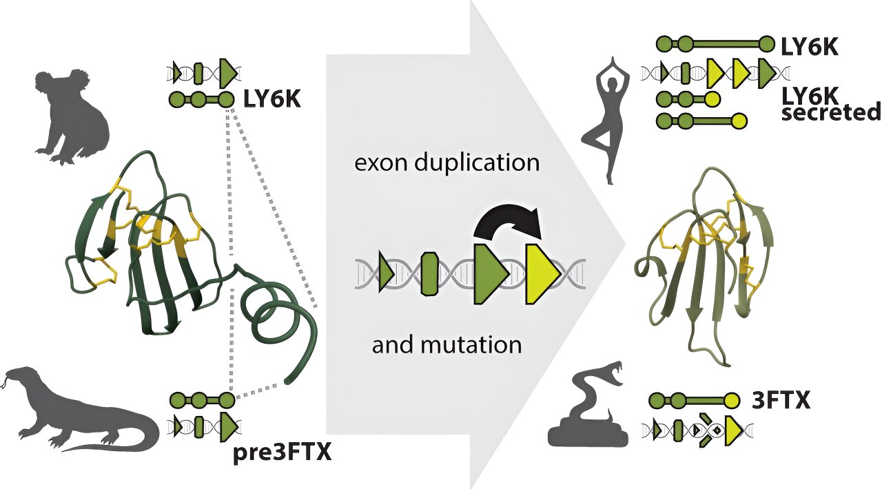 ��ָ�߶��صĽ���ʷ������