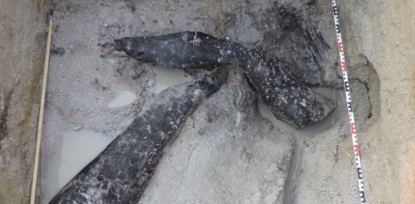 50����ǰľ�ṹ�����ķ��ֱ��������ǵ͹����ǵĹŴ������Ǵ����