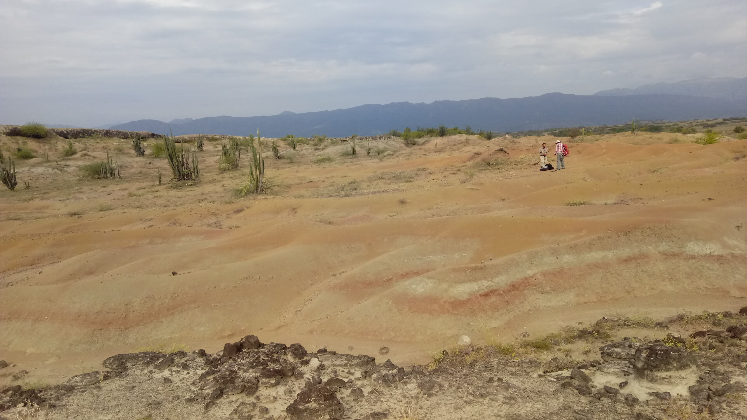 �Ƿ��Ļ�ʯ���ֽ�ʾ������Ľ����д���������غ���ʳϸ��