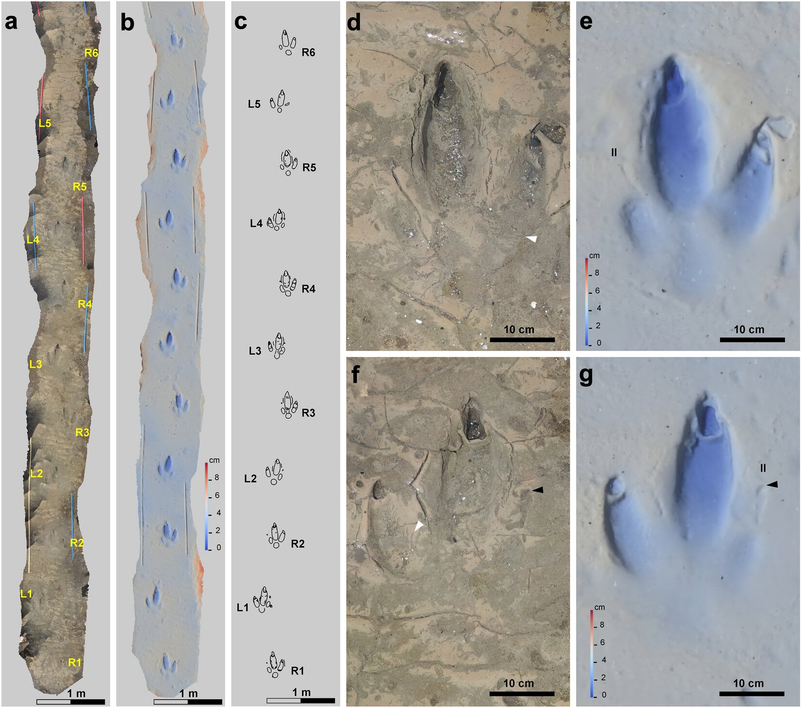 ����͢�״η��ֱ�����õĺ����ӡ��ʯ