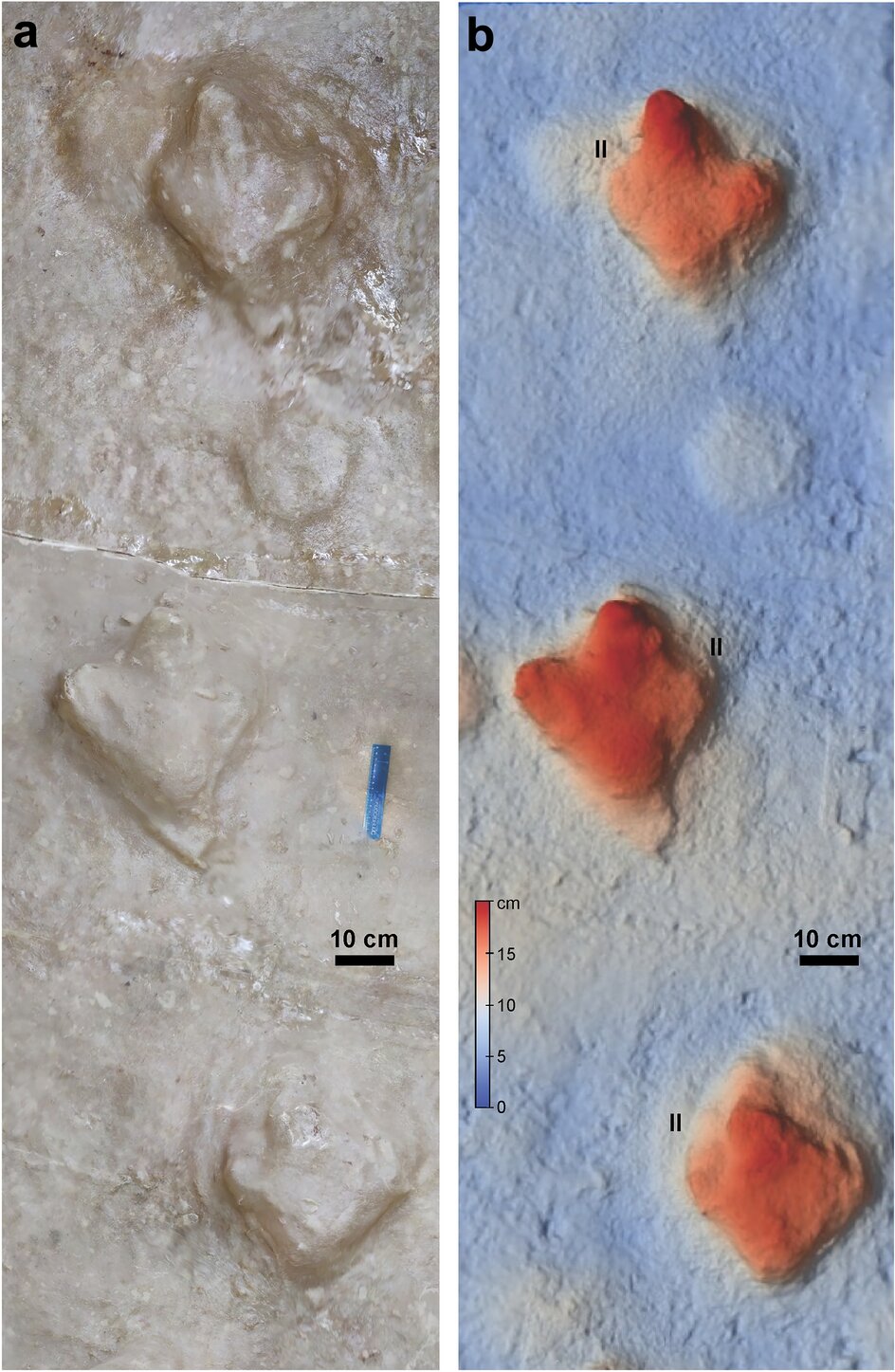 ����͢�״η��ֱ�����õĺ����ӡ��ʯ