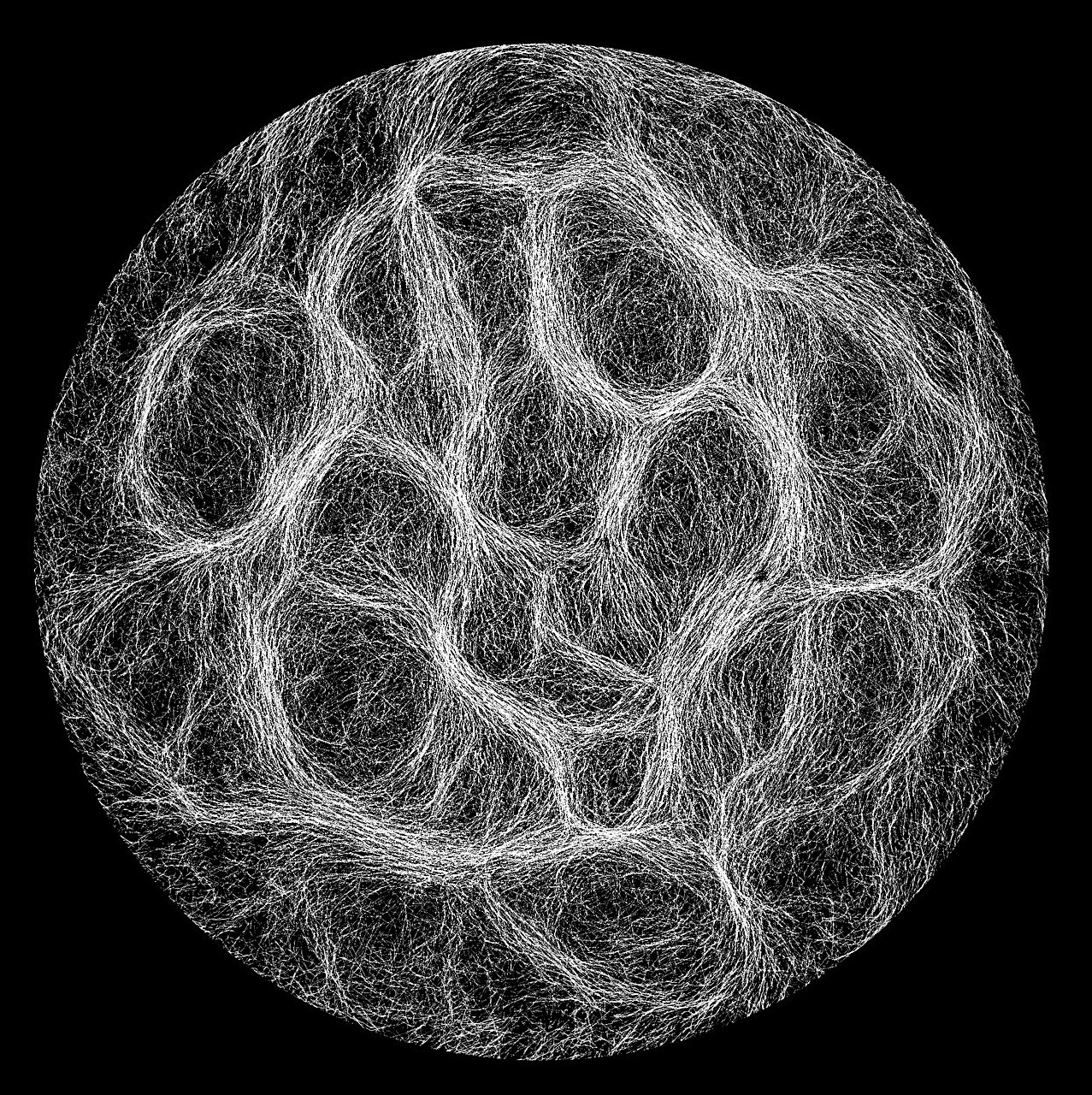 科学家解释了进化光合作用和给地球供氧的古老藻类的独特形成