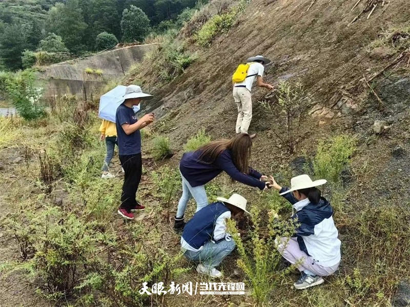 ���ʻ�ʯ�գ�����ʡ�����ﻯʯר��ίԱ�Ὺչ��ʯ���������