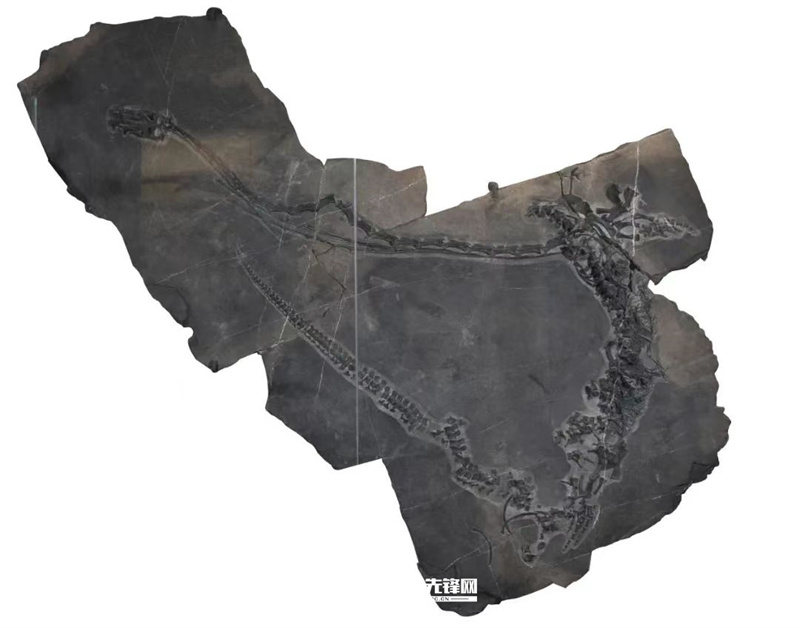 ���ʻ�ʯ�գ�����ʡ�����ﻯʯר��ίԱ�Ὺչ��ʯ���������