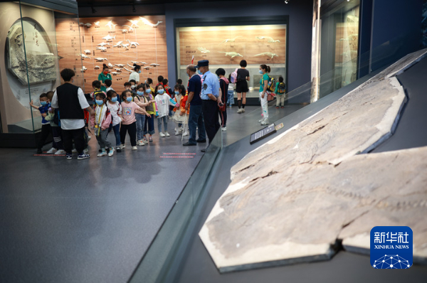 ����������������ĵ�����ʷ�����