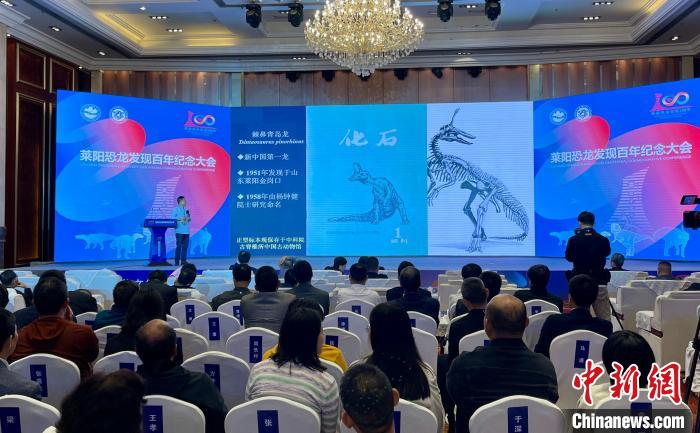 �����������������ֳɹ�����