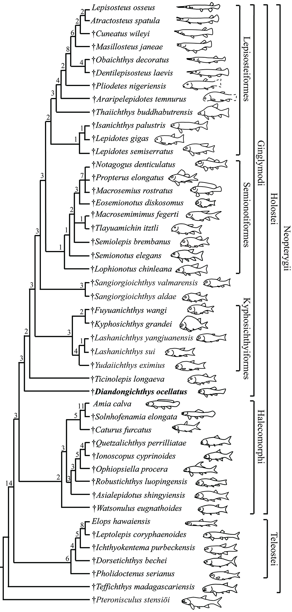 ʡƽز㷢µĹࡪԲβᶫ㣬ʾȸԴ